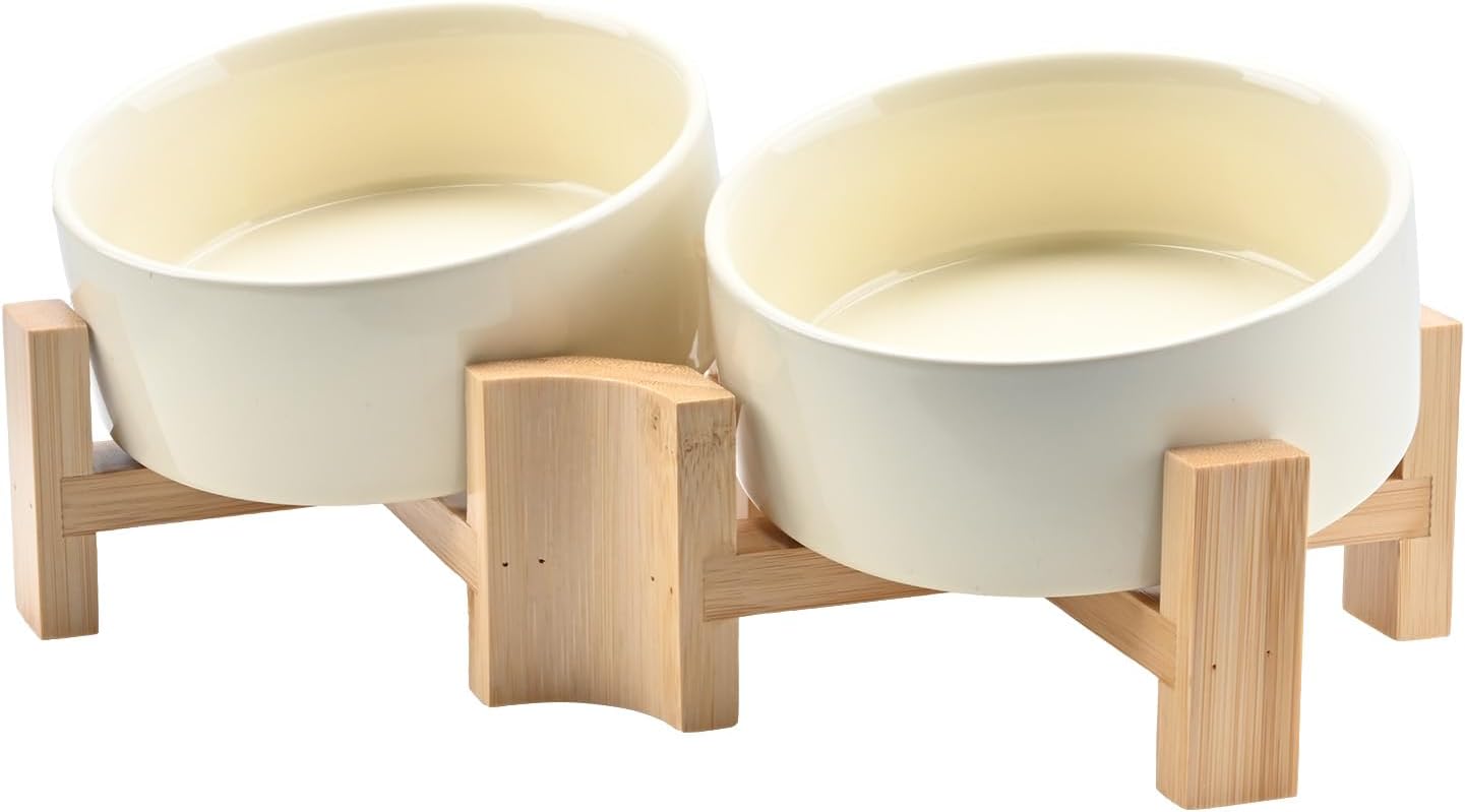 SPUNKYJUNKY Slanted Ceramic Dog and Cat Bowl with Stand