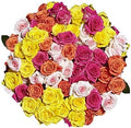 250 Assorted Roses Bouquet - Fresh Flowers for Every Occasion