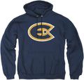 LOGOVISION Collegiate Distressed Primary Logo Pullover (Style KQY1)
