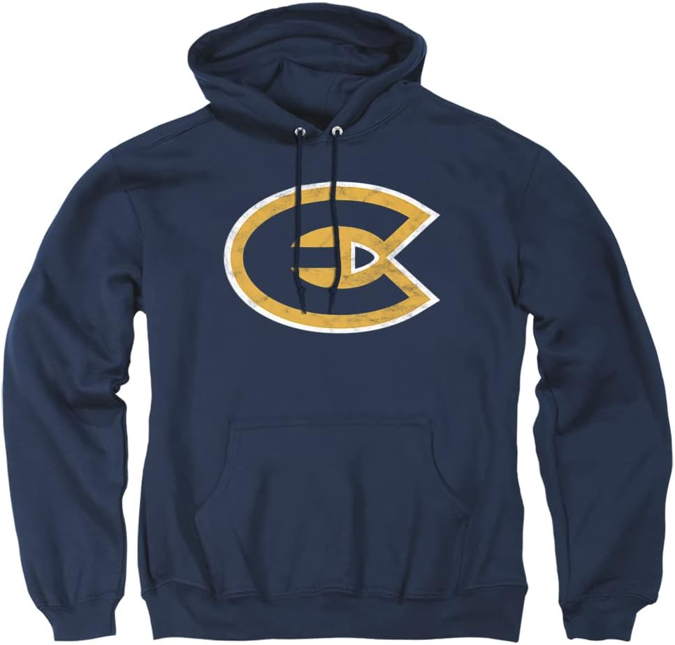 Official Collegiate Distressed Primary Logo Hoodie for Fans