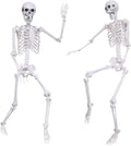 5.4Ft Halloween Life Size Skeleton - Posable Realistic Decor