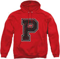 LOGOVISION Collegiate Distressed Primary Logo Pullover Hoodie high
