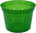 10 in Slotted Clear Pots 3 Pack (Green Emerald) - Better Drainage