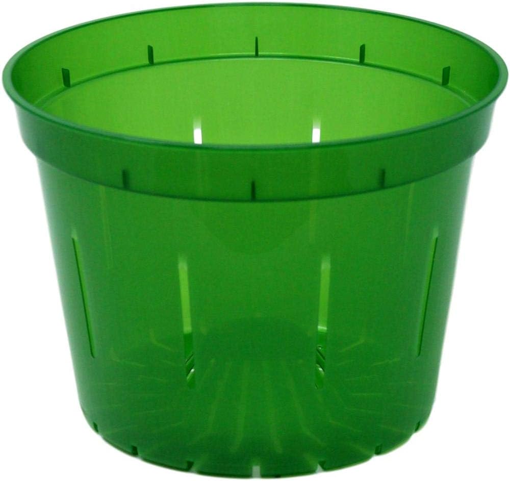 rePotme 10 inch Slotted Clear Pots - Perfect for Healthy Plants