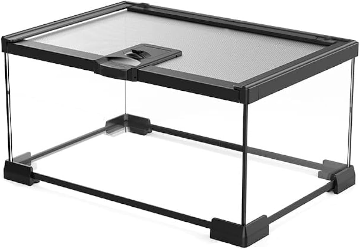Mini Reptile Glass Terrarium Tank for Geckos, Snakes, and More