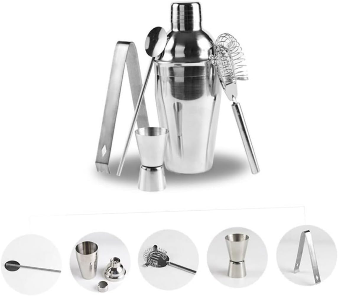 Leak-Proof 5pcs Bartender Kit - 750ml Martini Shaker Set