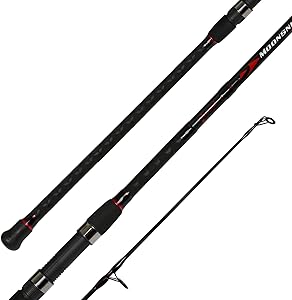 Fiblink Surf Spinning Fishing Rod - 12ft & 10ft Travel Rod