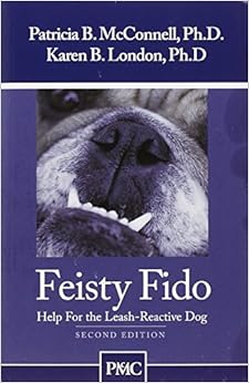 Feisty Fido: Essential Guide for Leash-Reactive Dogs