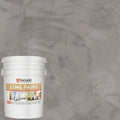 VASARI Lime Paint Granite #25 5 Gallon - Durable Natural Lime Finish