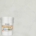 VASARI Lime Paint Golden Grey #23 5 Gallon - Natural Lime Finish