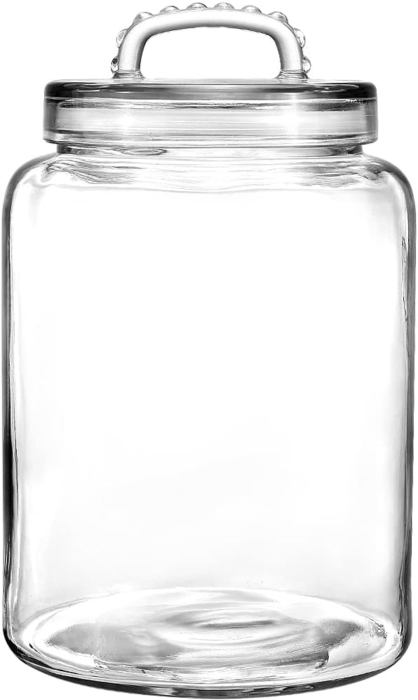 3 Gallon Glass Jar with Lid for Food Storage and Organization