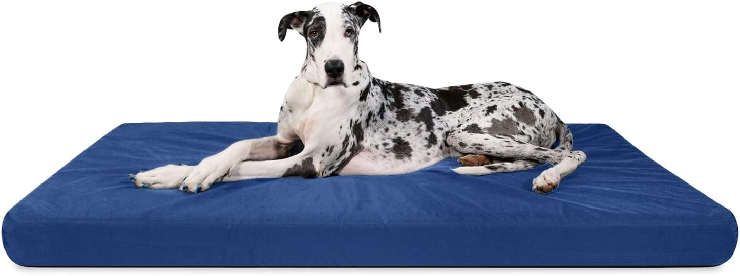 K9 Ballistics Tough Orthopedic Dog Bed for XXL Dogs 68x40