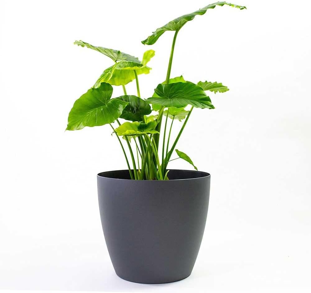 Memphis 18 Inch Round Indoor Floor Planter Pot for Home Decor
