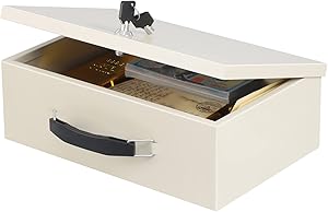xydled Fire Resistant Safe Box for Home Office Security Storage