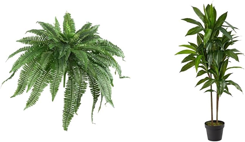 Set of 2 Artificial Boston Ferns & 4ft Dracaena Plant for Decor