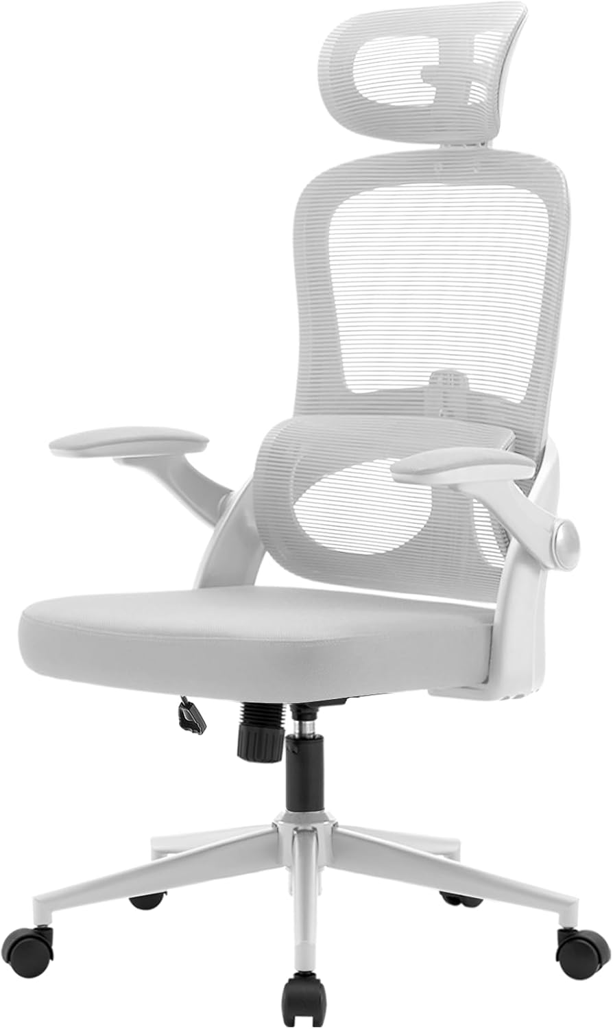 SIHOO High Back Ergonomic Office Chair, 3D Armrests & Lumbar Support