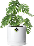 Aveyas 10 inch Ceramic Planter Pot for Indoor and Outdoor