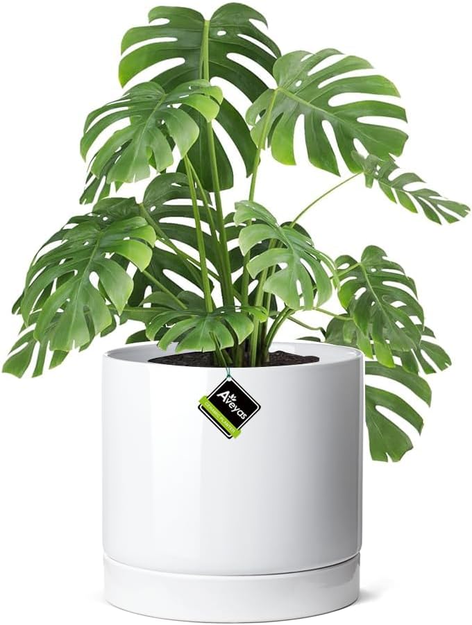 Aveyas 10 inch Ceramic Planter Pot for Indoor and Outdoor