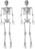 5.4 ft Halloween Human Skeleton Props 2-Pack - Movable Joints