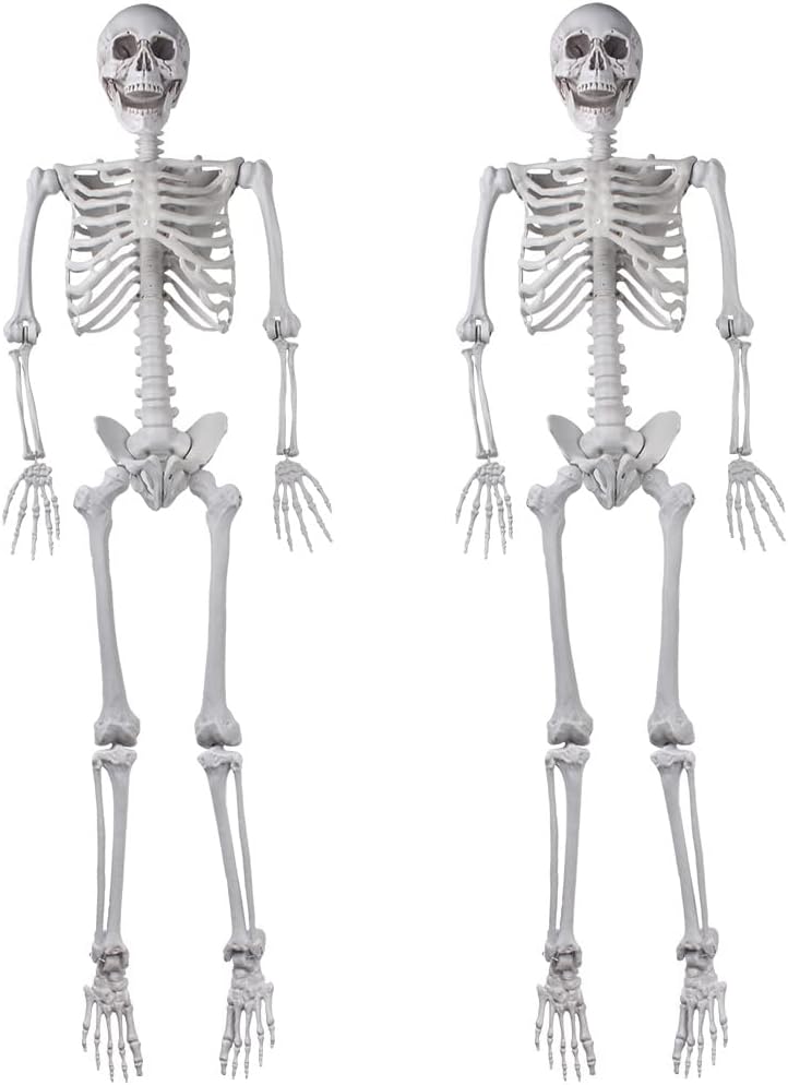 Life Size 5.4ft Halloween Skeletons for Spooky Decorations