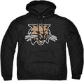 LOGOVISION Collegiate Distressed Primary Logo Pullover (Style 31HN)