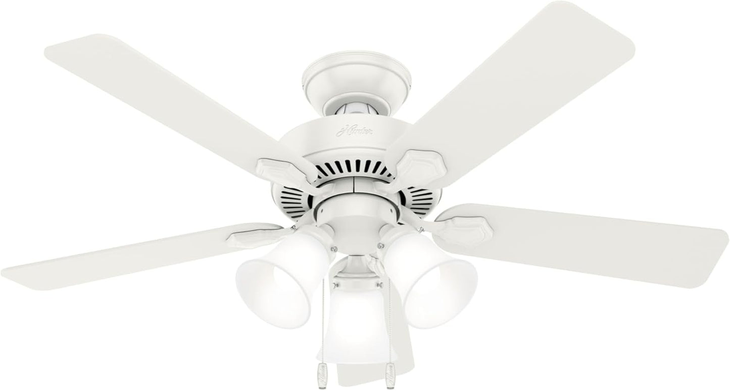 Hunter 44 inch Indoor Ceiling Fan with LED Lights for Comfort