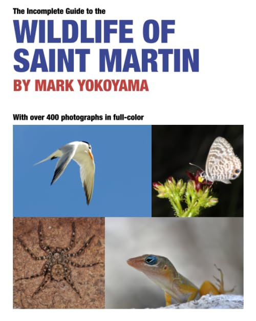 The Incomplete Guide to the Wildlife of Saint Martin Review