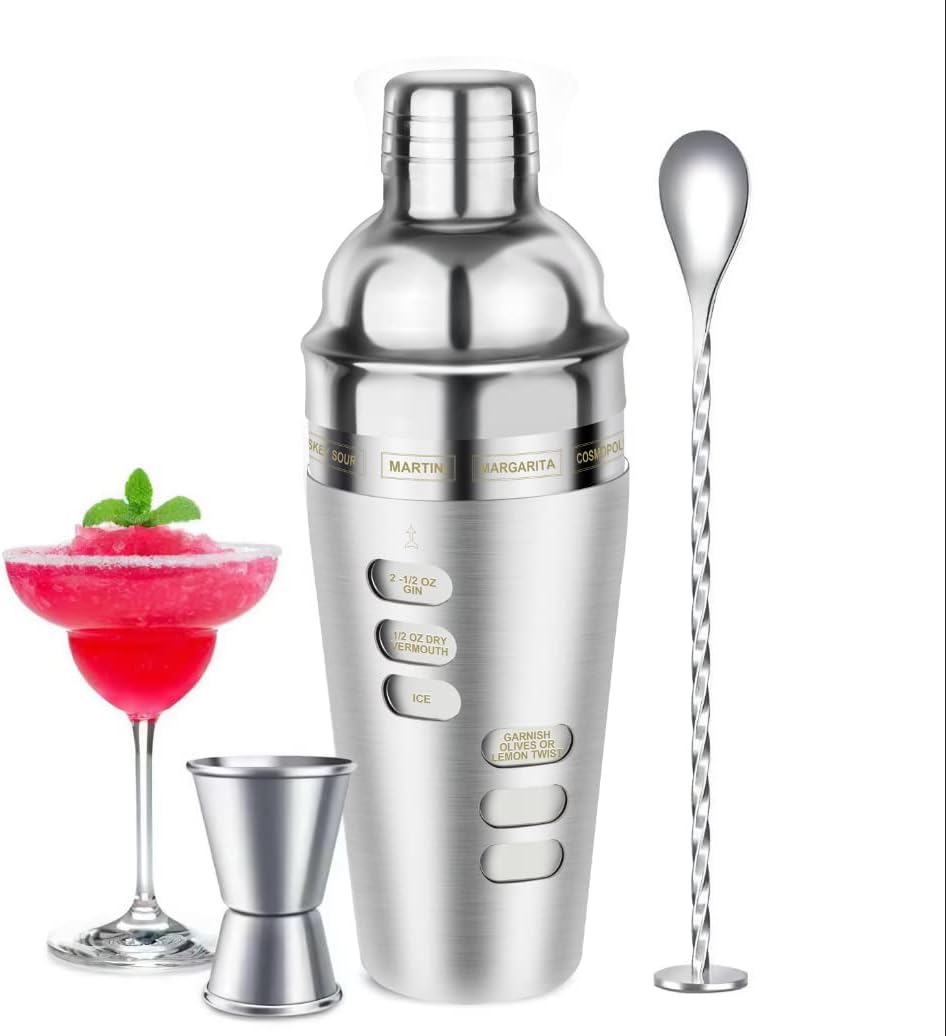 Cocktail Shaker Set with Recipe - Shake Up Fun!