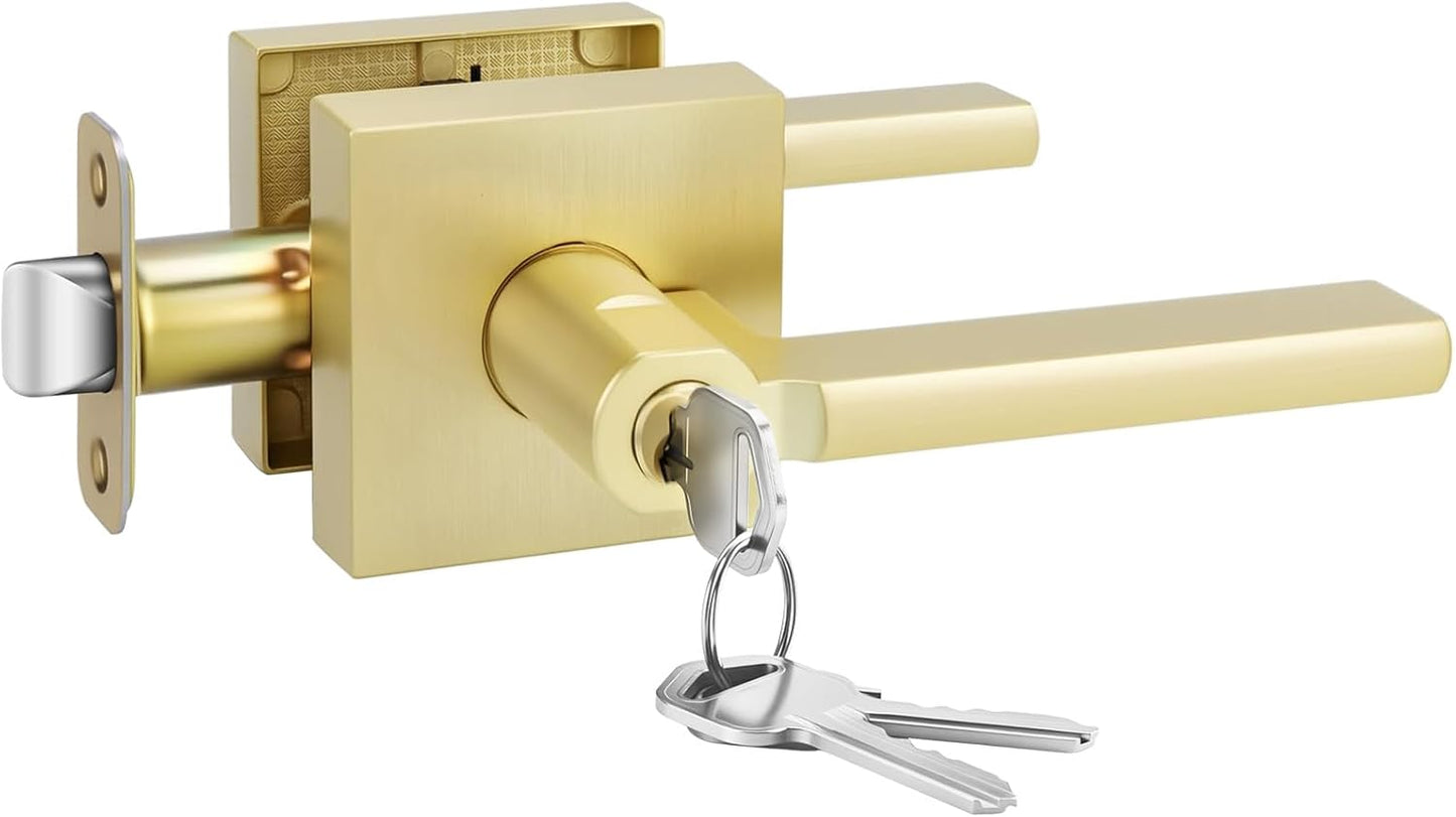 Goldenwarm Entry Door Handle with Lock and Key for Security