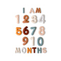 Felt Baby Monthly Milestone Numbers for Newborn Photography
