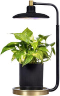 AeroGarden Tabletop Grow Light for Indoor Plants - Adjustable Full