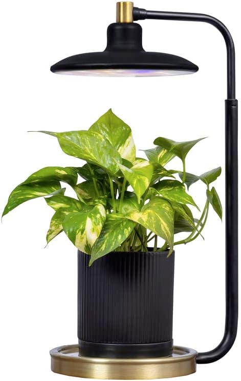 AeroGarden Tabletop Grow Light for Indoor Plants - Adjustable Modes