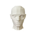 John Asaro Style Planar Head XL 10in White - Artist Study Bust
