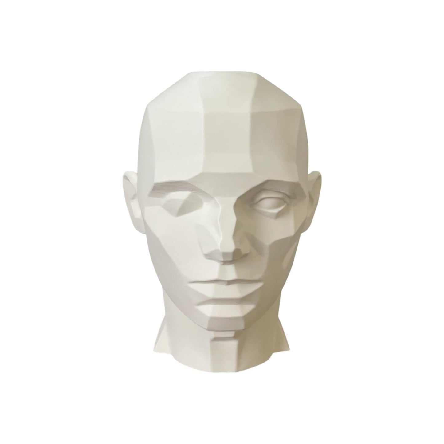 John Asaro Style Planar Head XL for Accurate Human Drawing