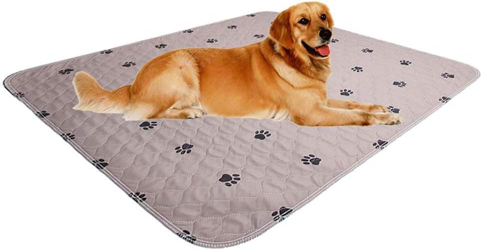 Washable Dog Pee Pads - Super Absorbent & Reusable Pet Training