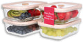 Ziruma Non-Toxic 2.6 Cup Glass Food Storage Containers - Plastic Free
