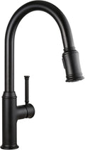 Lava Odoro Curtura Matte Black Pull-Down Kitchen Faucet - Sleek 17in