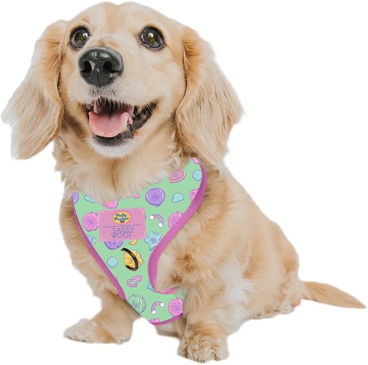 Dog Adjustable Harness with Two D-Rings for Small Dogs