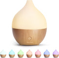 SALKING 100ml Essential Oil Diffuser - Auto Shut-Off, Ultrasonic, Cool Mist, Warm Lights