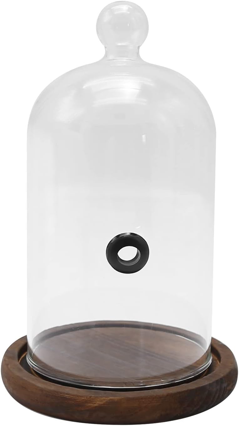 Smoke Infuser Cloche - Enhance Flavors