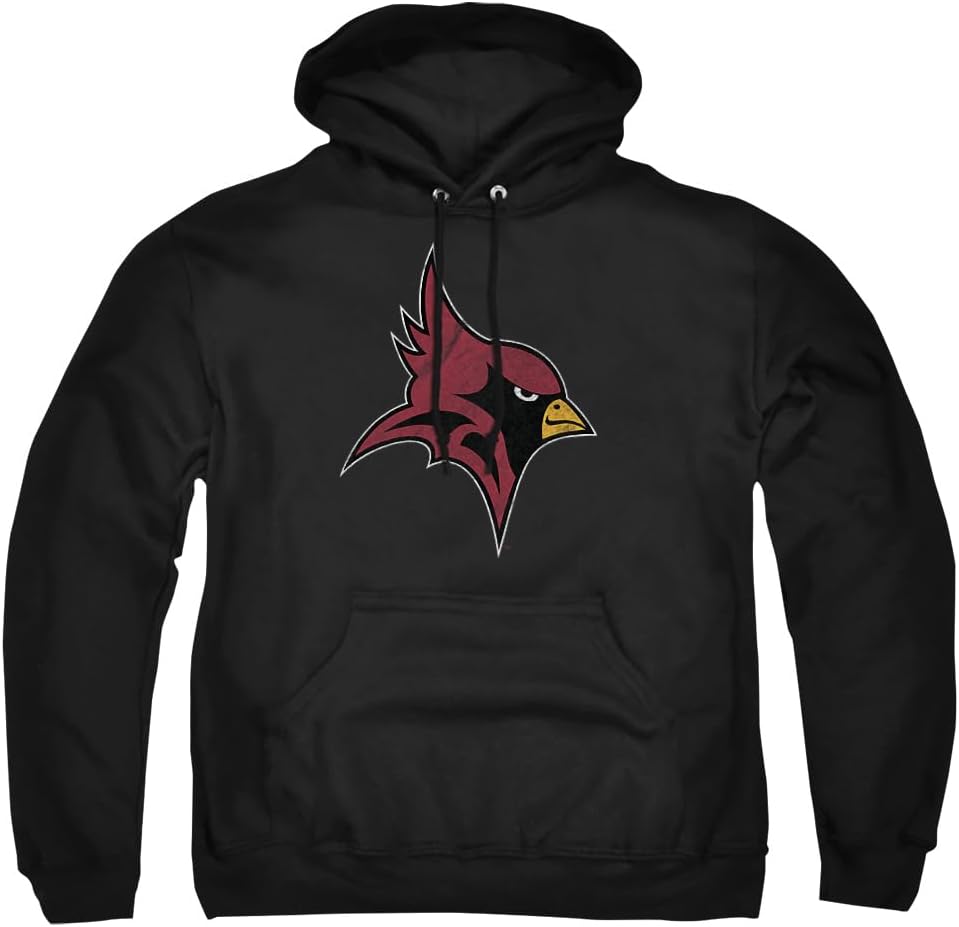 Official Collegiate Distressed Primary Logo Hoodie Collection