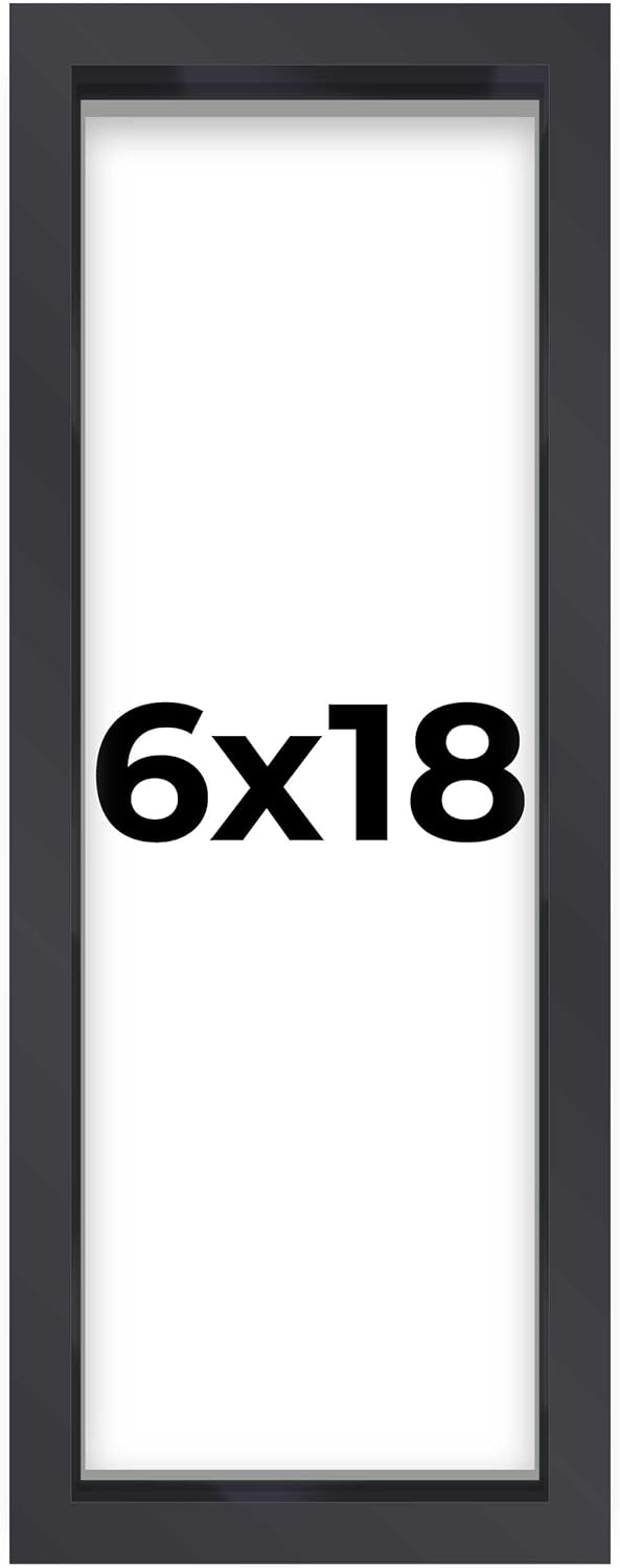 6x18 Shadow Box Frame with Contemporary Black Finish for Display