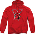 LOGOVISION Distressed Primary Logo Adult Pullover Hoodie (Style FCPV)