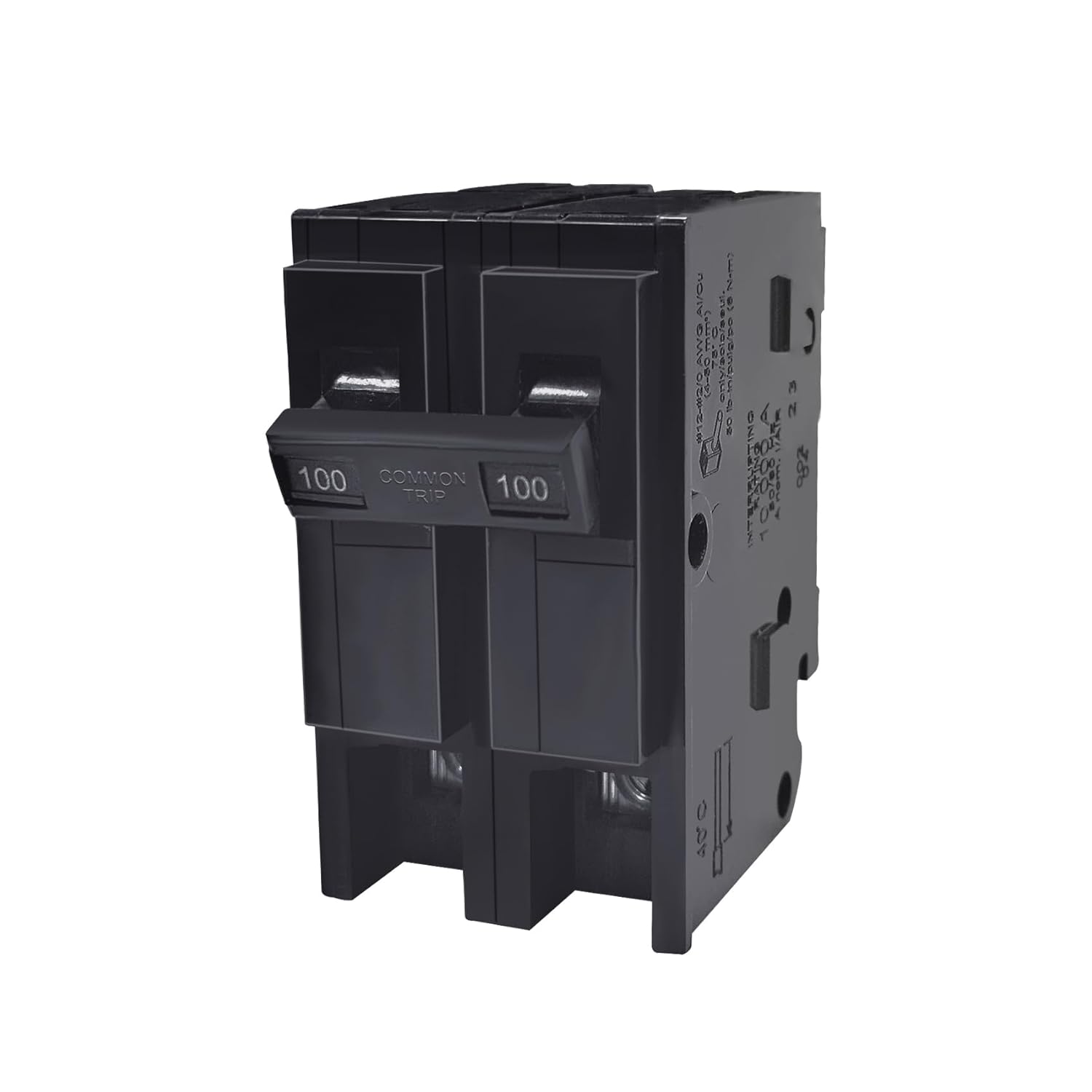 100 Amp 2 Pole Circuit Breaker with Thermal Magnetic Protection