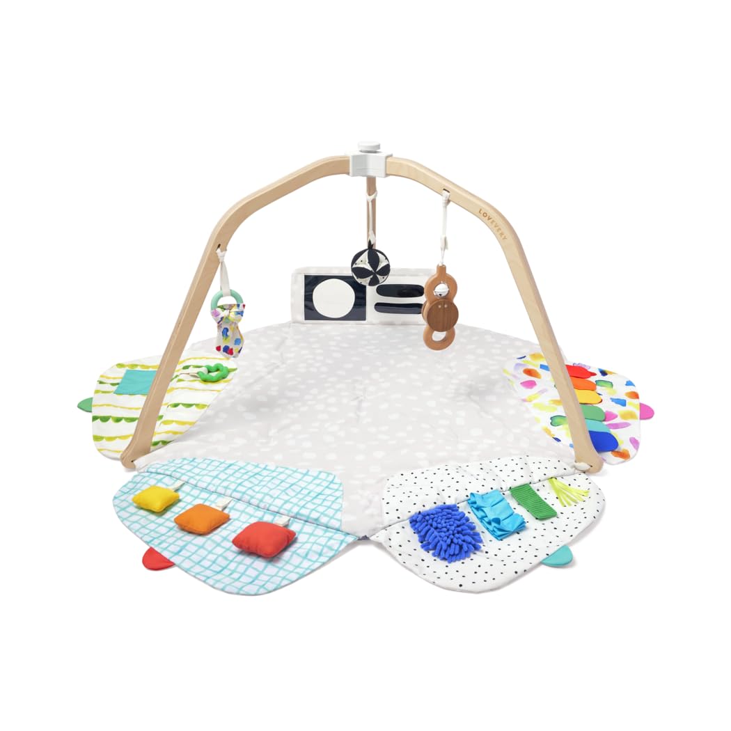 Stage-Based Developmental Play Gym
