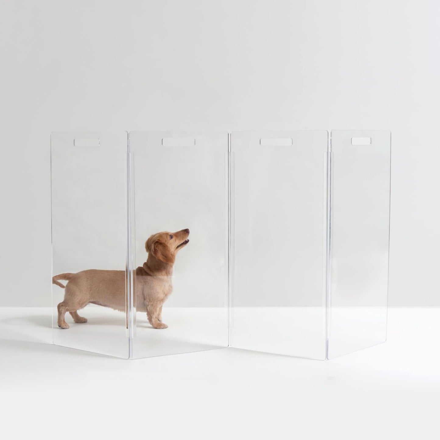 Hiddin Clear Acrylic Dog Gate - Stylish and Sturdy Pet Barrier