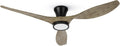 TALOYA 52 inch Ceiling Fan with Light - Low Profile, Quiet DC Motor