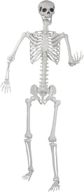 Halloween Skeleton Realistic Life Size Skeleton with Movable Joints