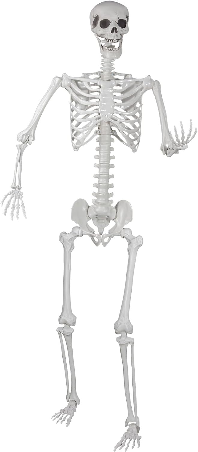Realistic Life Size Skeleton for Halloween Party Decorations