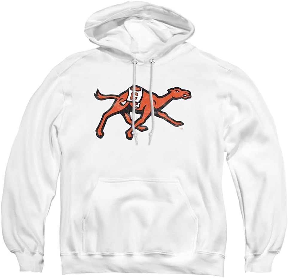 Official Collegiate Distressed Primary Logo Hoodie for Fans